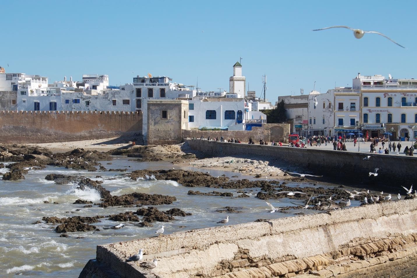Day Trip to Essaouira