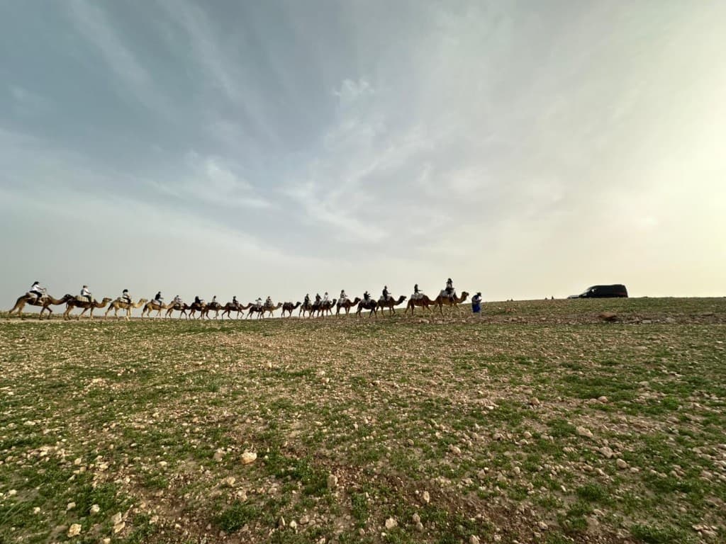 Marrakech to Casablanca — 6 Days gallery photo 4